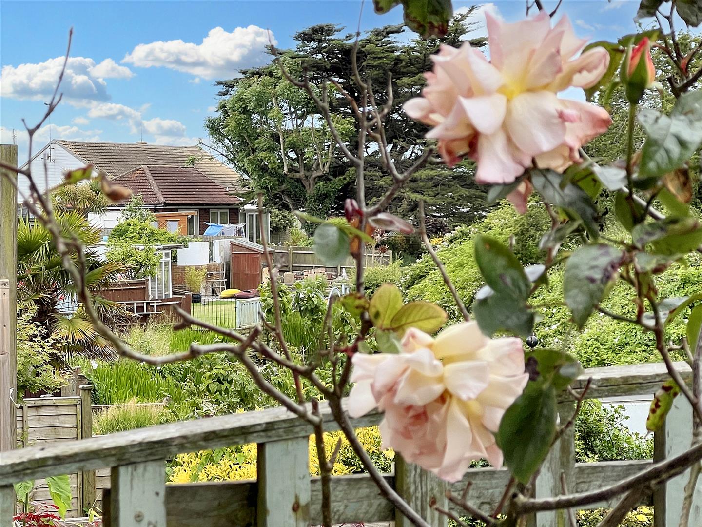 Property Details for Pevensey Bay Road, Eastbourne Town Property